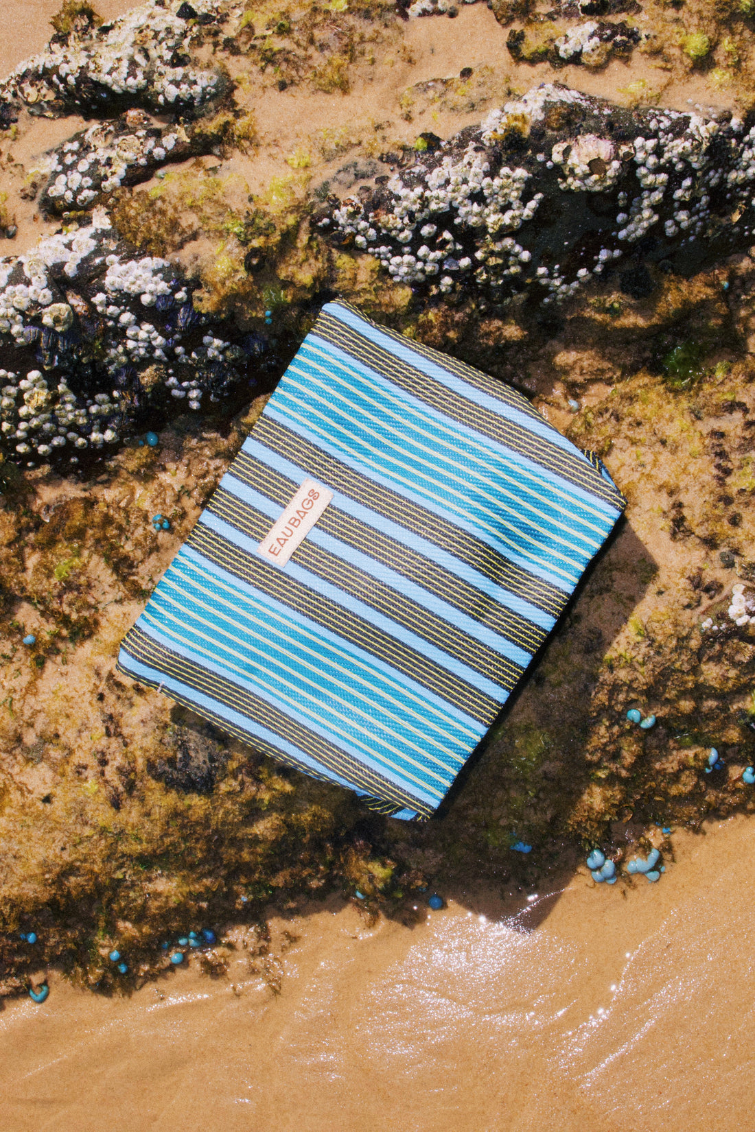 *Pre-Order* Essentials